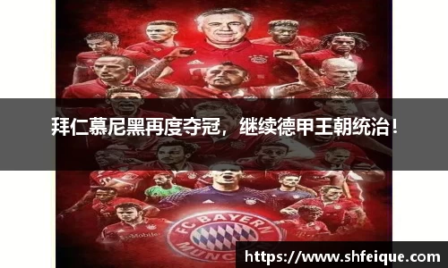 拜仁慕尼黑再度夺冠，继续德甲王朝统治！