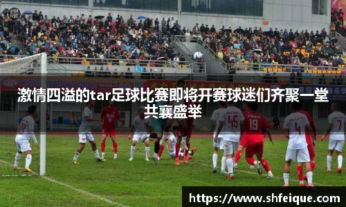 激情四溢的tar足球比赛即将开赛球迷们齐聚一堂共襄盛举