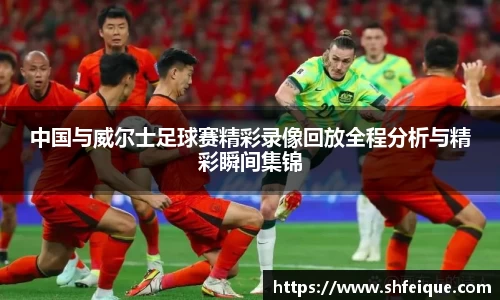 中国与威尔士足球赛精彩录像回放全程分析与精彩瞬间集锦