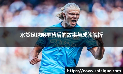 水货足球明星背后的故事与成就解析