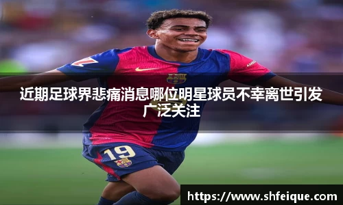 近期足球界悲痛消息哪位明星球员不幸离世引发广泛关注
